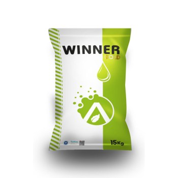 Winner Gold kopya